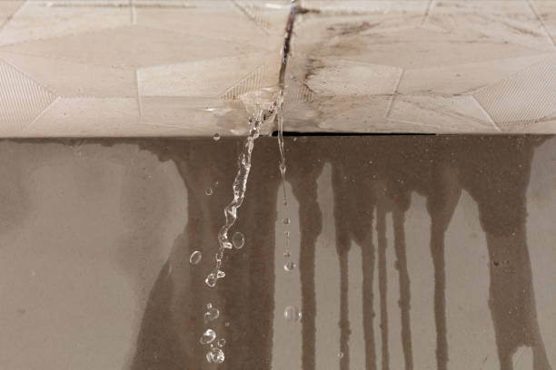 Professional Burst Pipe Cleanup technician working in Watervliet, MI